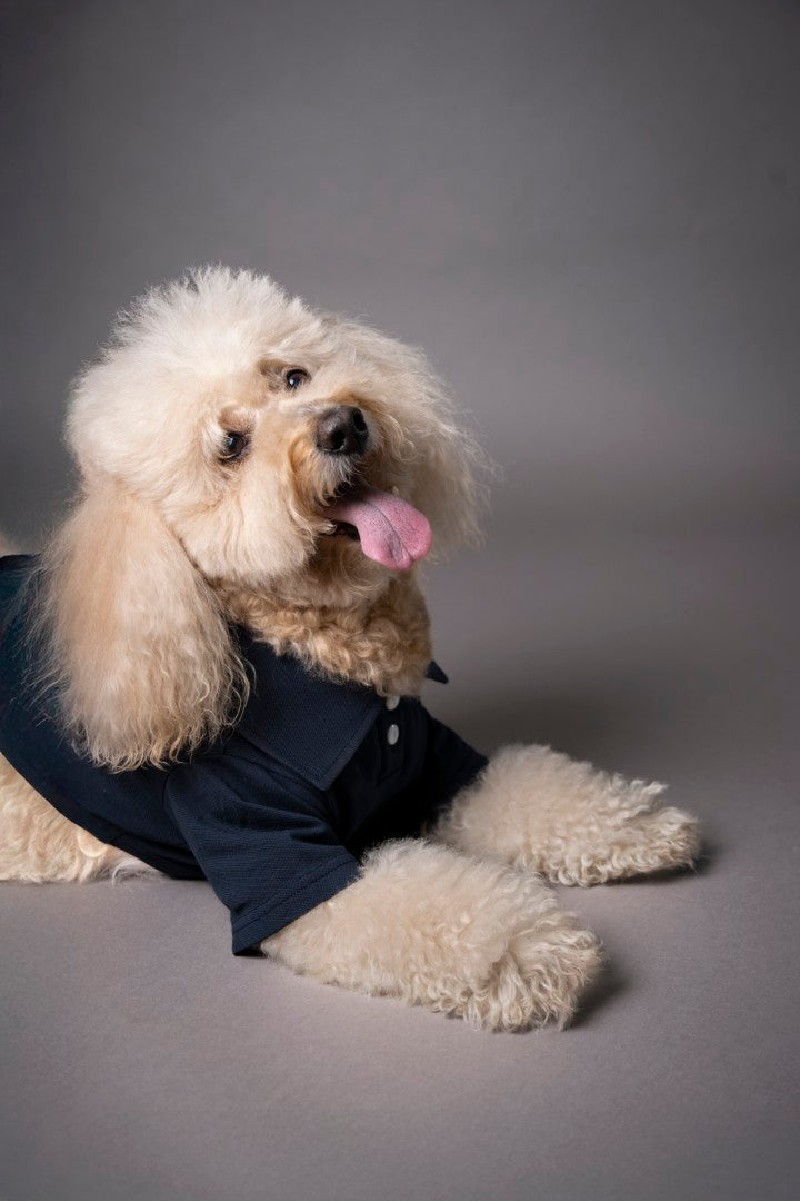 Timeless Pique Polo