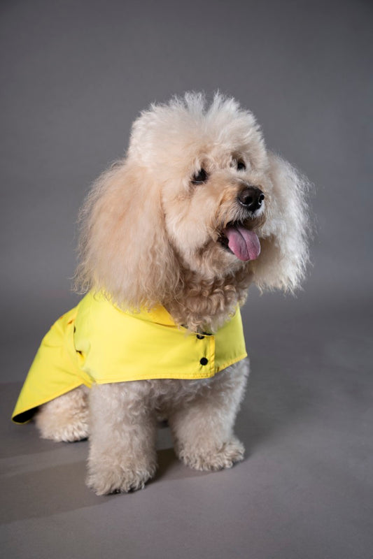Rainy Shield Jacket