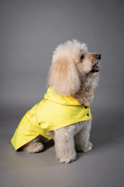 Rainy Shield Jacket