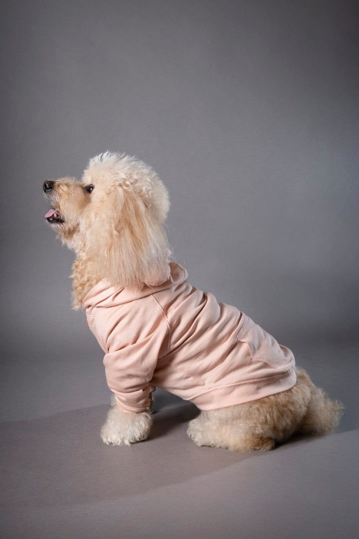 Snuggle Snitch Hoodie