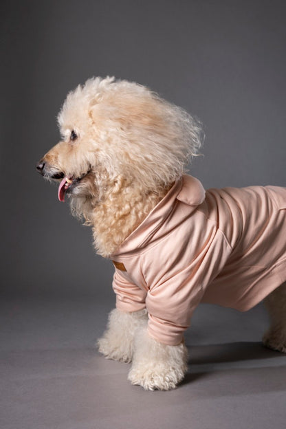 Snuggle Snitch Hoodie