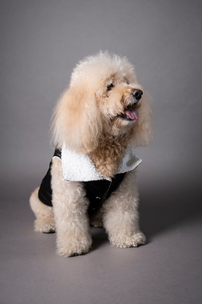 Essential Vest