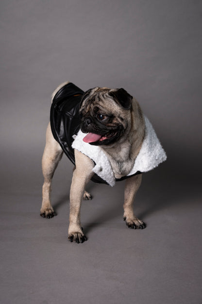 Essential Vest