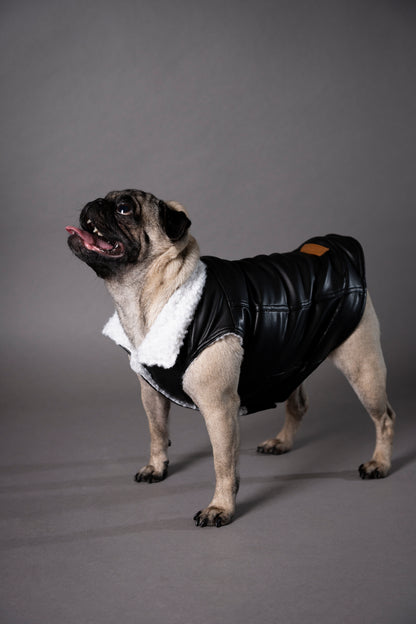 Essential Vest