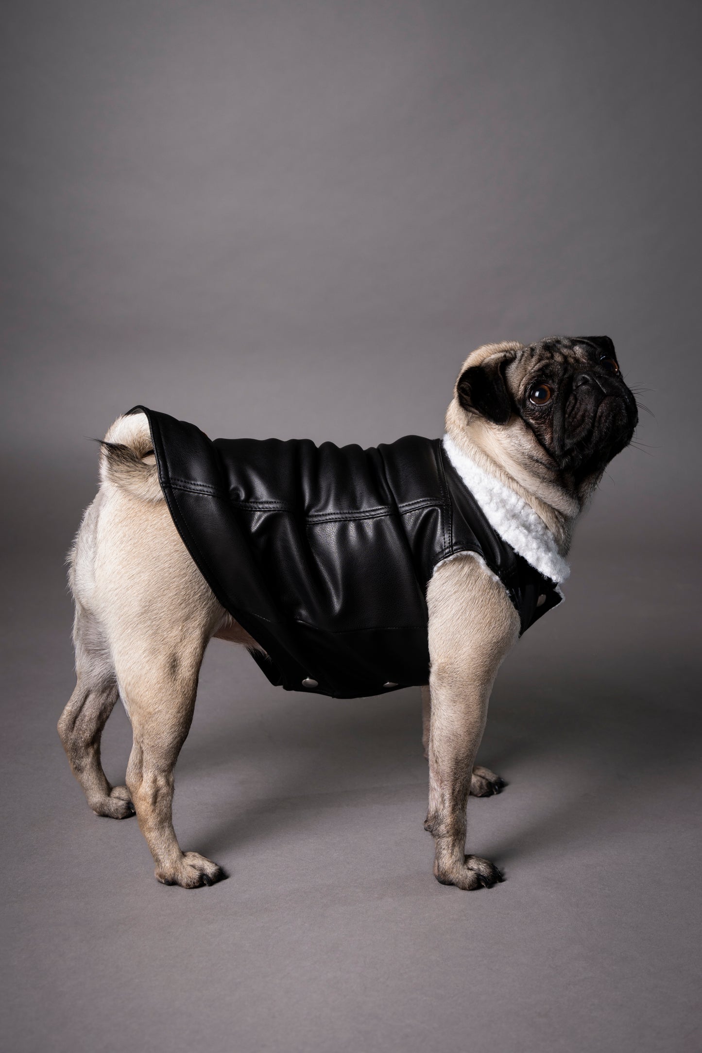 Essential Vest