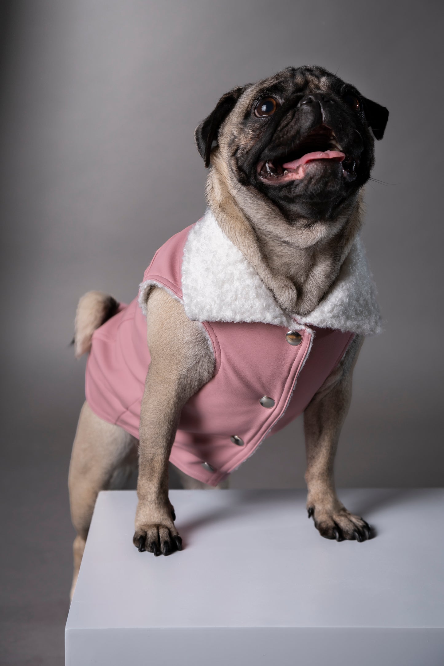 Essential Vest