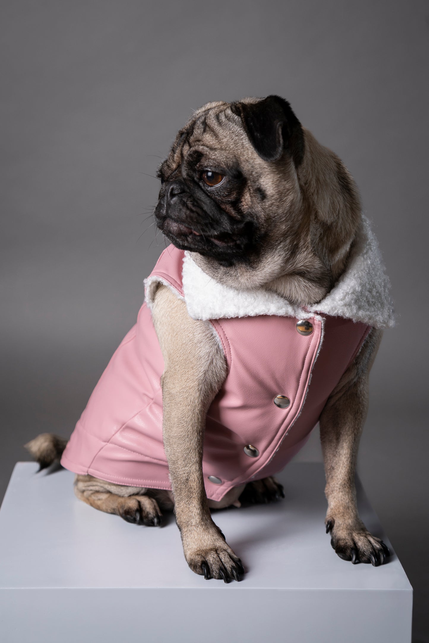 Essential Vest