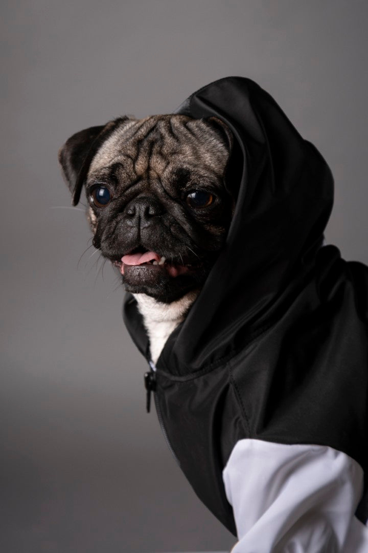 Urban Jacket