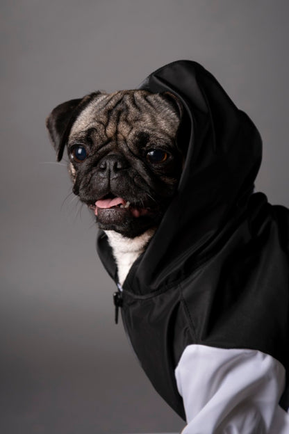 Urban Jacket