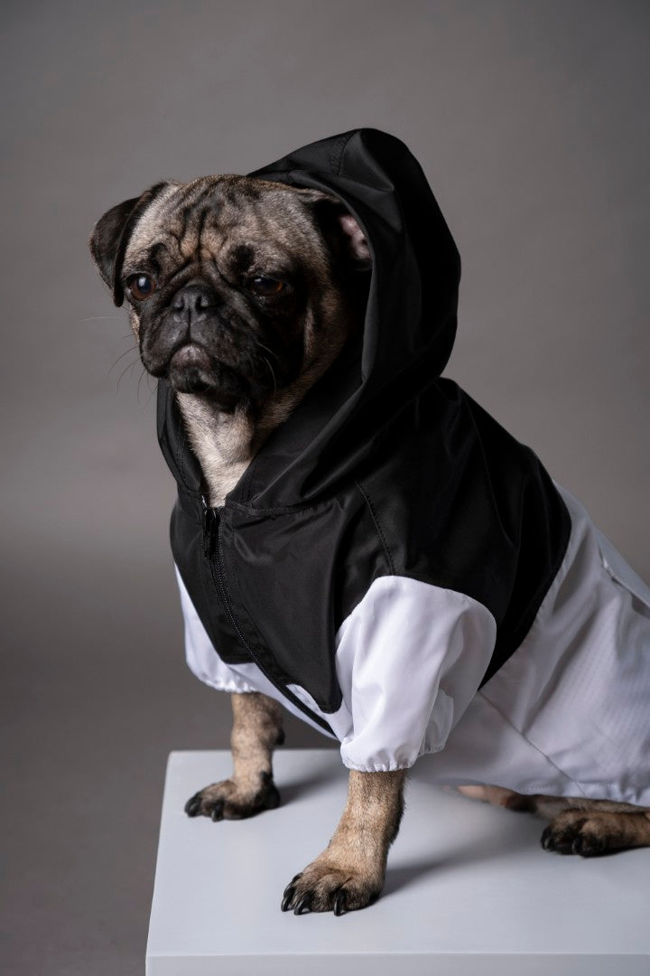 Urban Jacket