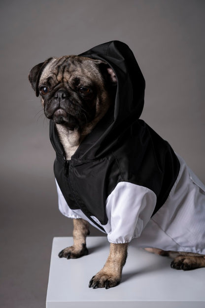 Urban Jacket