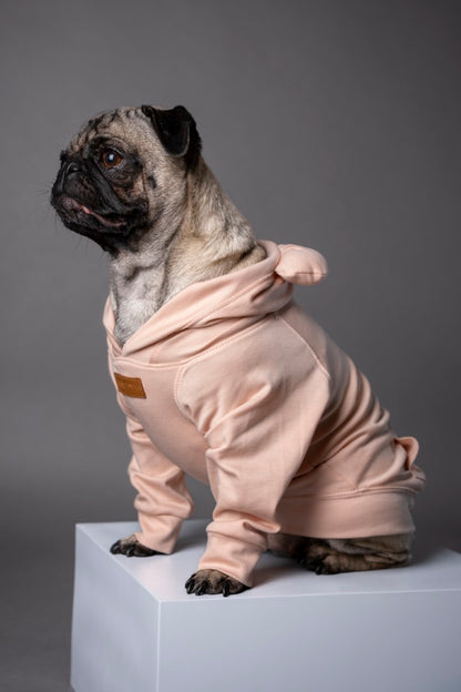 Snuggle Snitch Hoodie