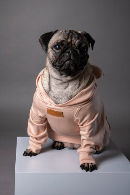 Snuggle Snitch Hoodie