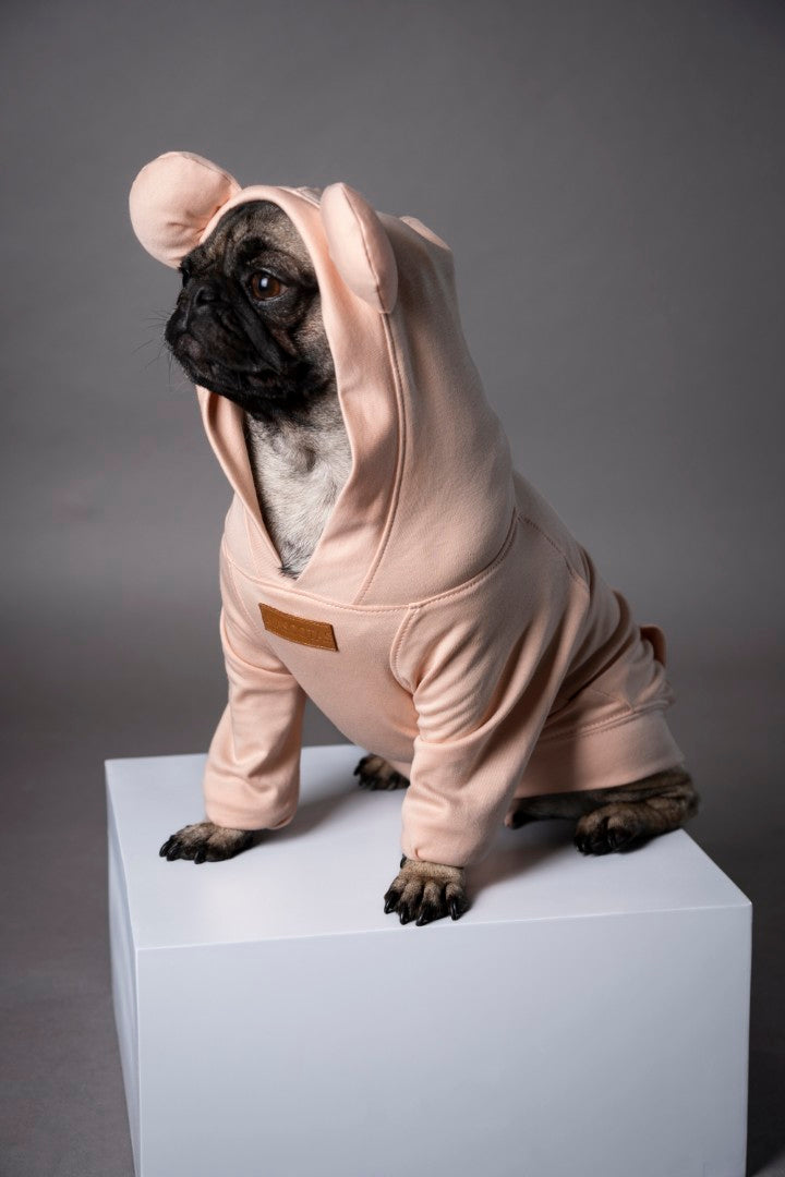 Snuggle Snitch Hoodie