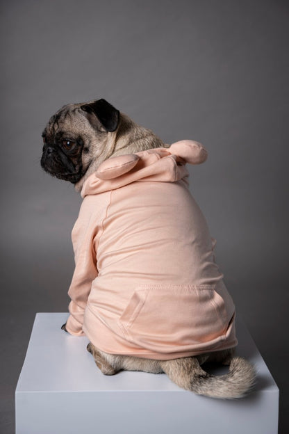 Snuggle Snitch Hoodie