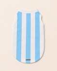 Load image into Gallery viewer, Argentina Champion Jersey
