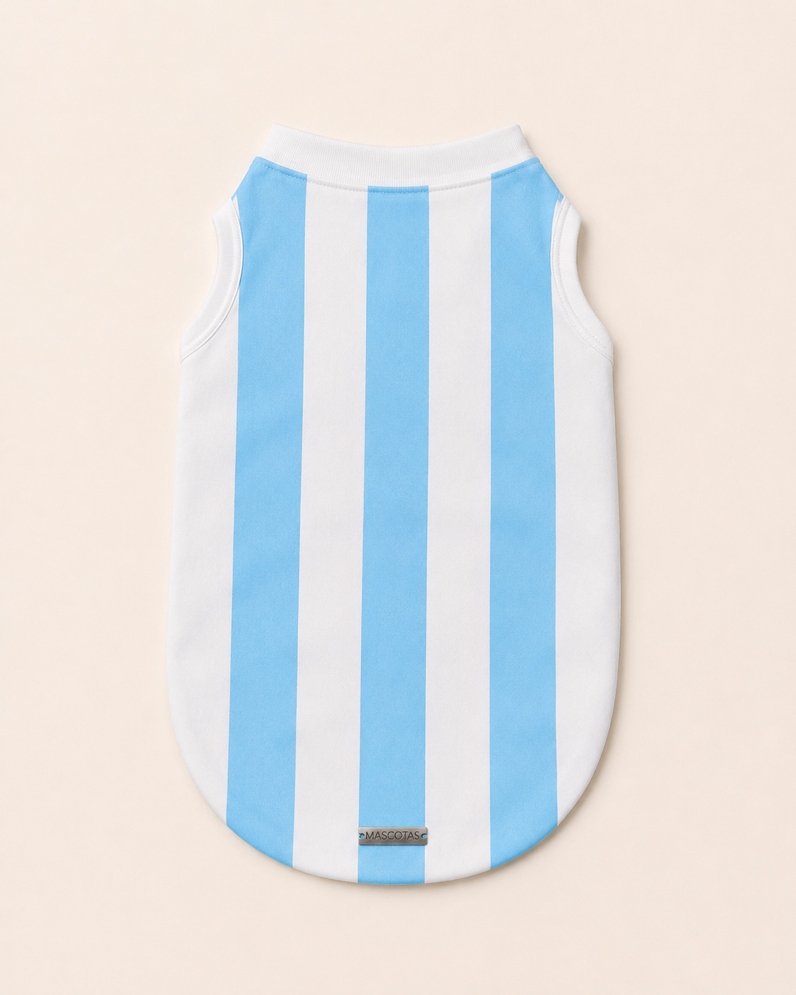 Argentina Champion Jersey