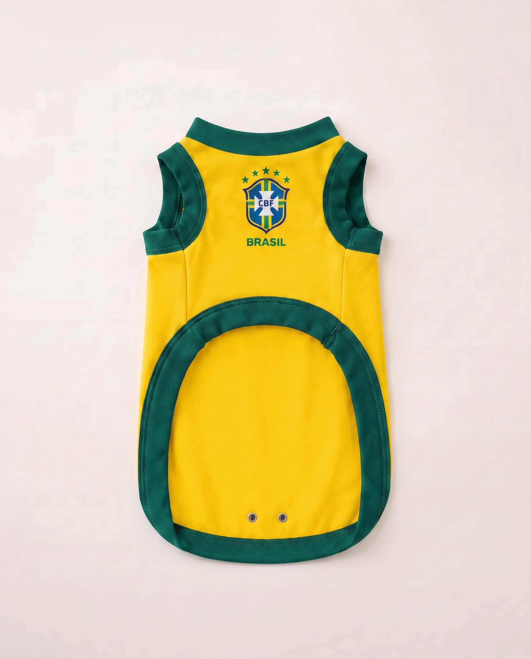 Ginga (Brasil)