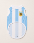 Load image into Gallery viewer, Argentina Champion Jersey
