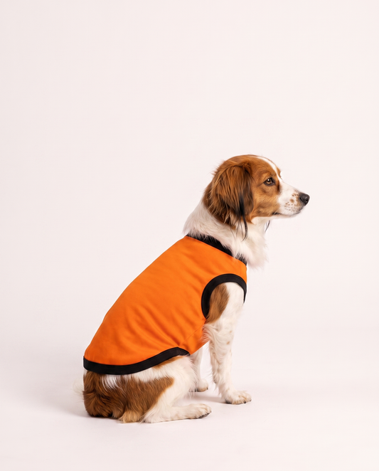 Oranje (Netherlands)