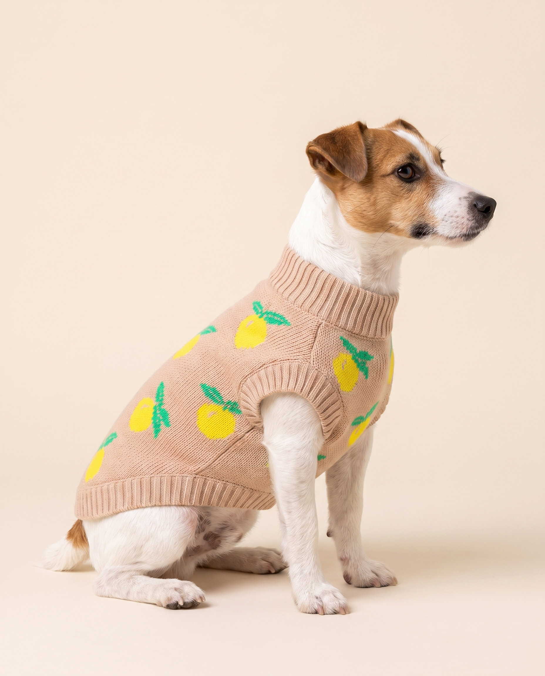 Lemon Cream Knit - Baby Alpaca Dog Sweater