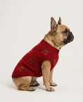 Load image into Gallery viewer, Dog wearing a red sweater with cherry pattern on a white background
