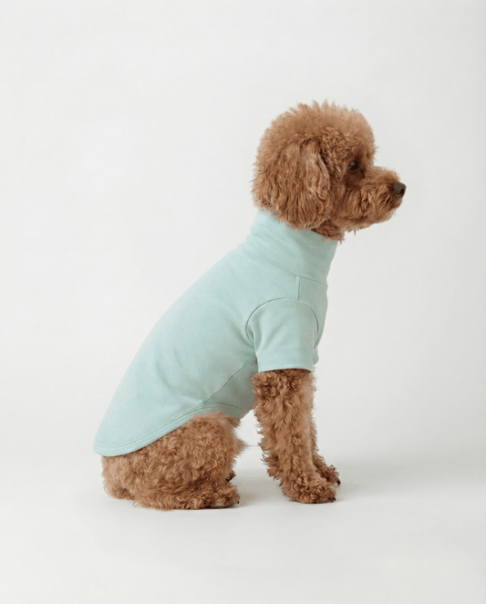 Best Buddy Shirt - Soft Cotton Dog Wear