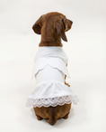 Load image into Gallery viewer, Halloween Angel - Cute Dog Costume
