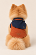 Load image into Gallery viewer, Sky Sentinel Superhero Dog Costume with Cape

