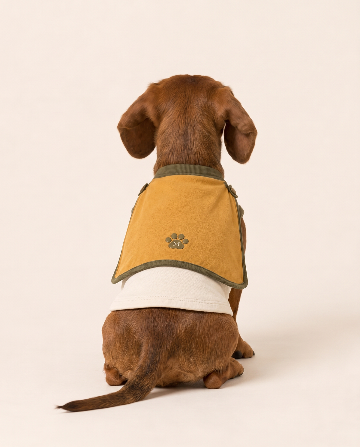 Golden Sidekick Superhero Dog Costume with Cape