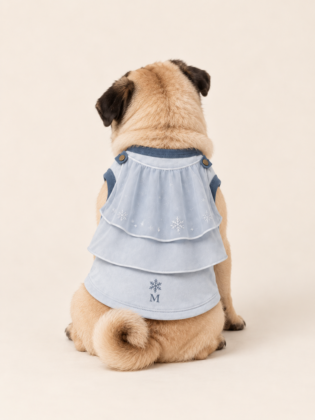 Frost Guardian Winter Hero Dog Costume