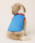 Load image into Gallery viewer, DR Congo Dog Jersey: Motema
