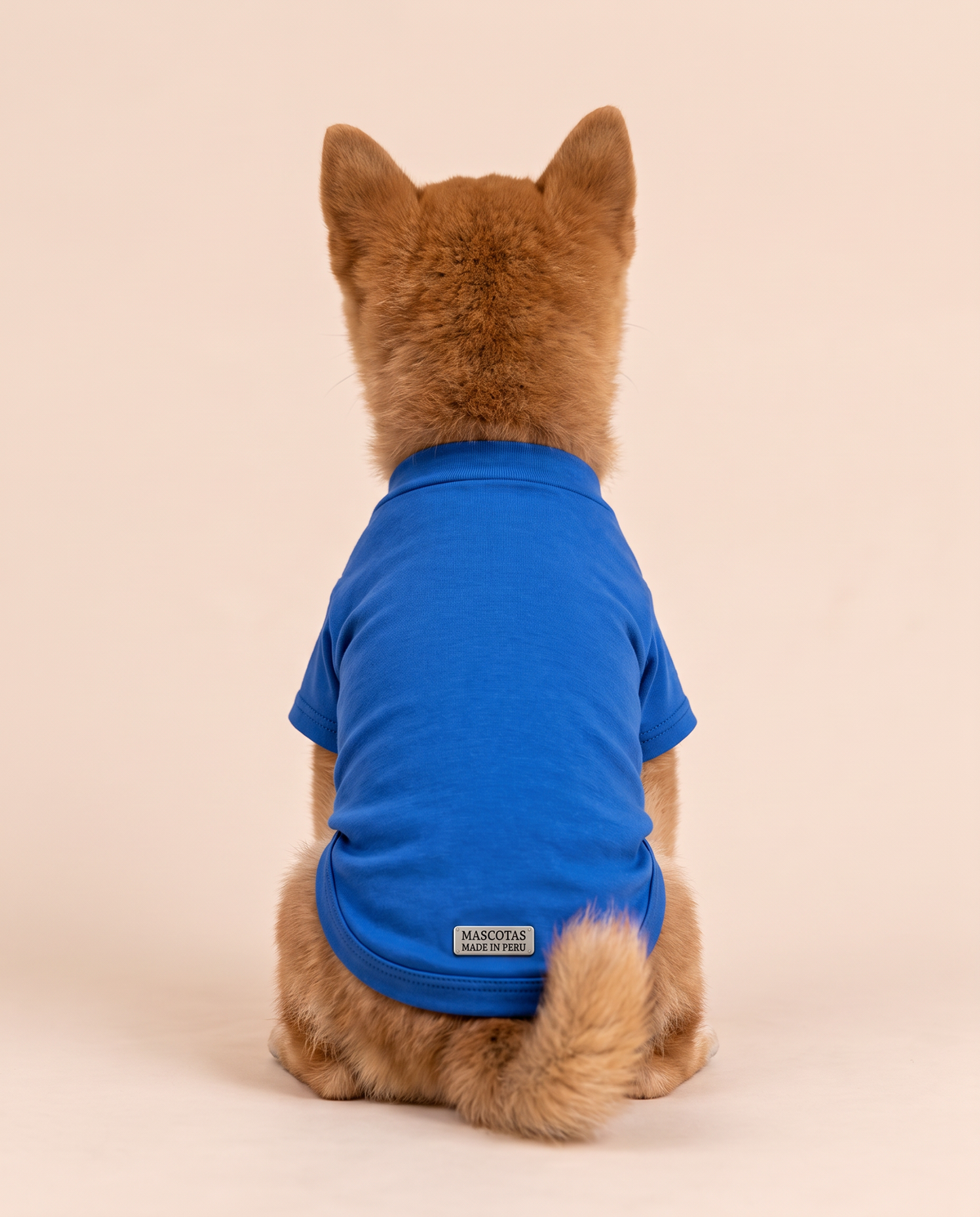 Happy Hound Adventure Tee | Blue Character Dog Shirt