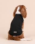 Load image into Gallery viewer, Night Guardian Dog Tee | Black Superhero Dog Shirt
