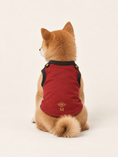 Load image into Gallery viewer, Crimson Acrobat Superhero Dog Halloween Costume
