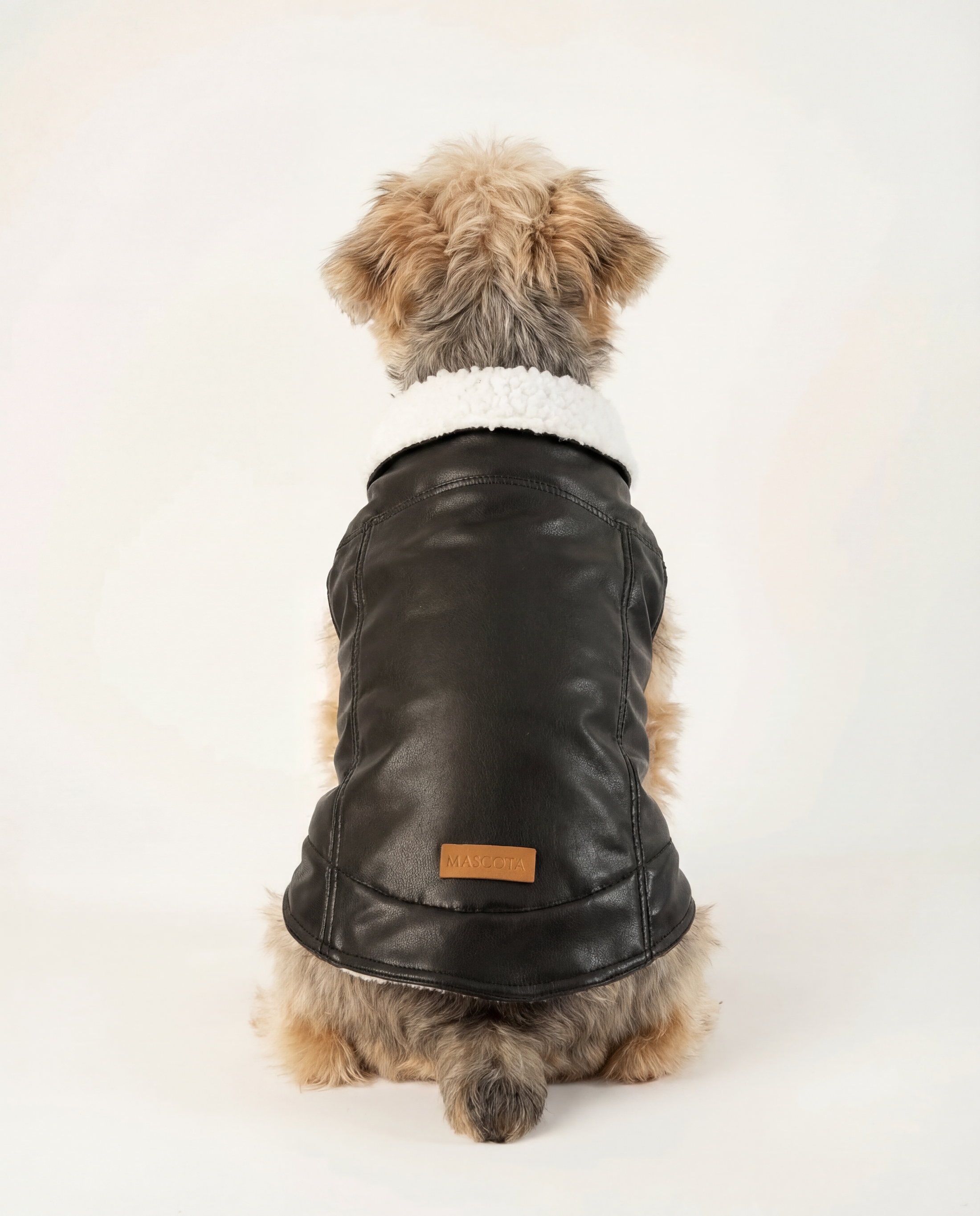 Top view of Black Winter Vest for Dog