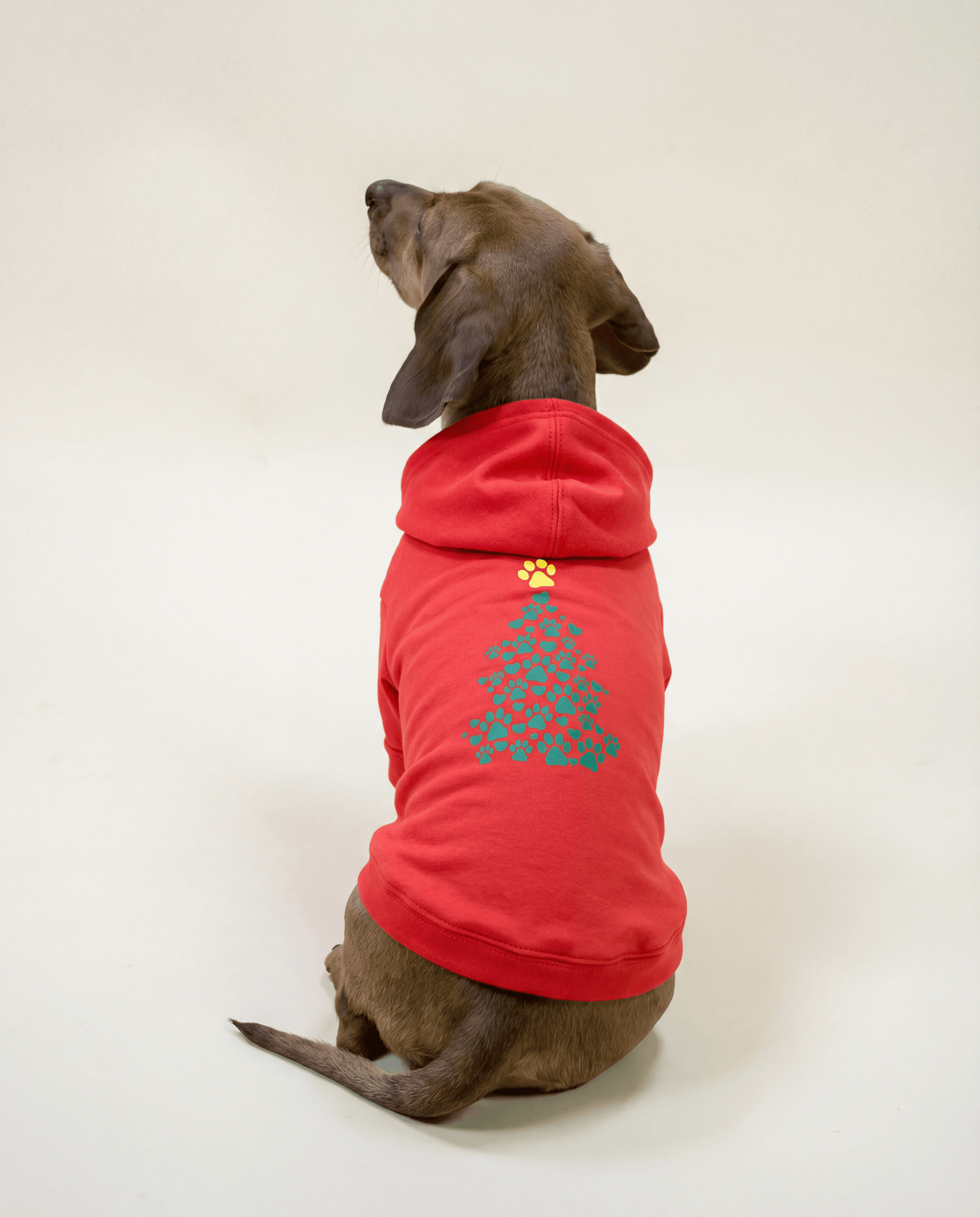 Top View Christmas Tree - Mascotas