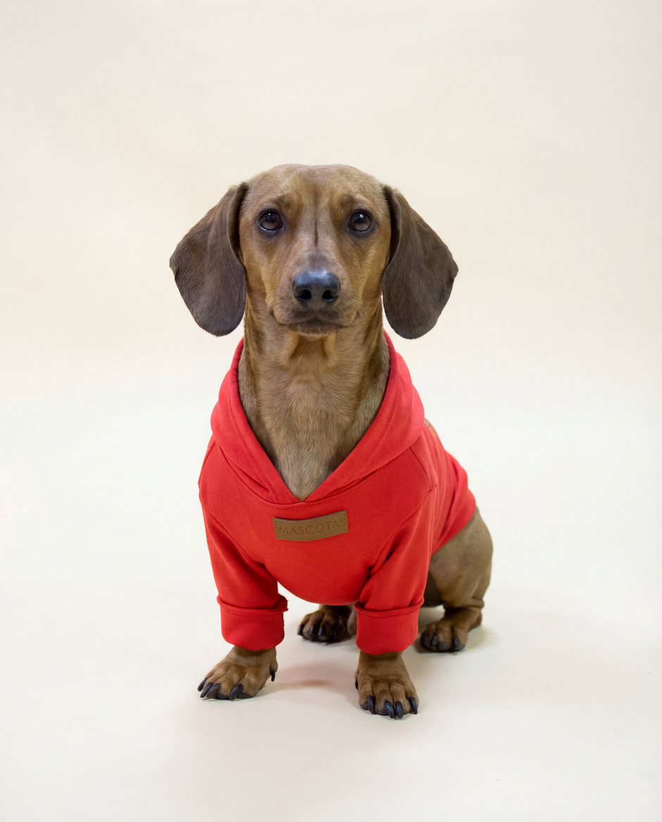 Christmas Dog Clothing - Dog Clothing Online 