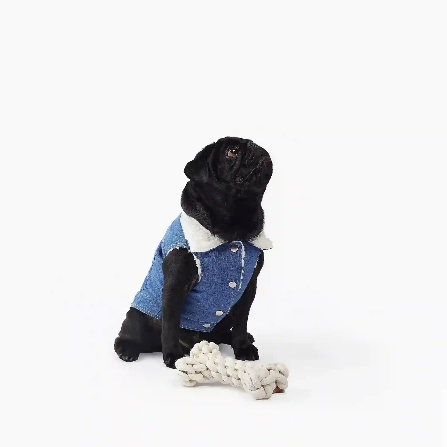 Essential Vest