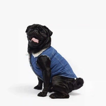 Essential Vest