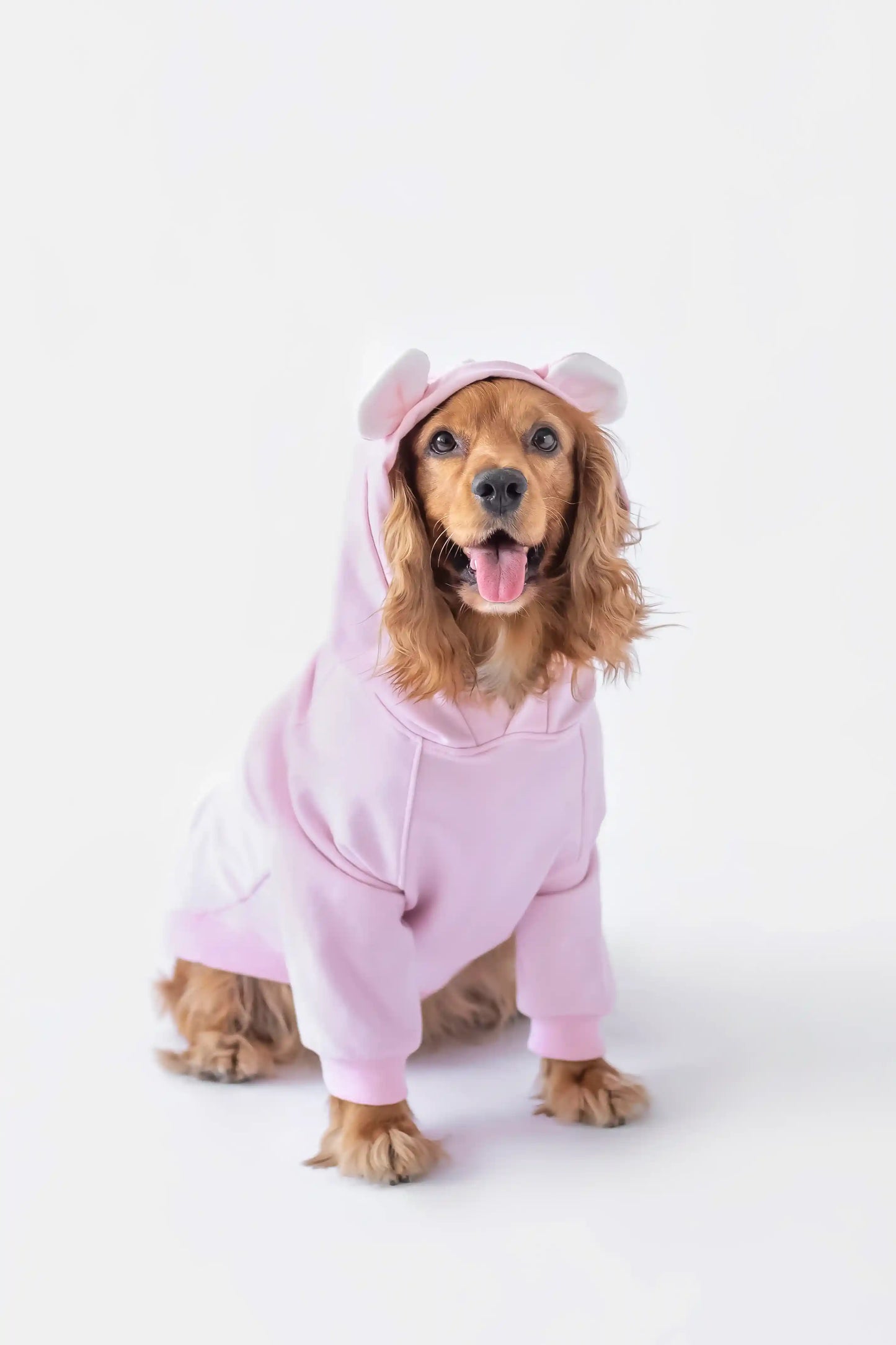 Snuggle Snitch Hoodie