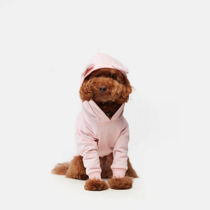 Snuggle Snitch Hoodie