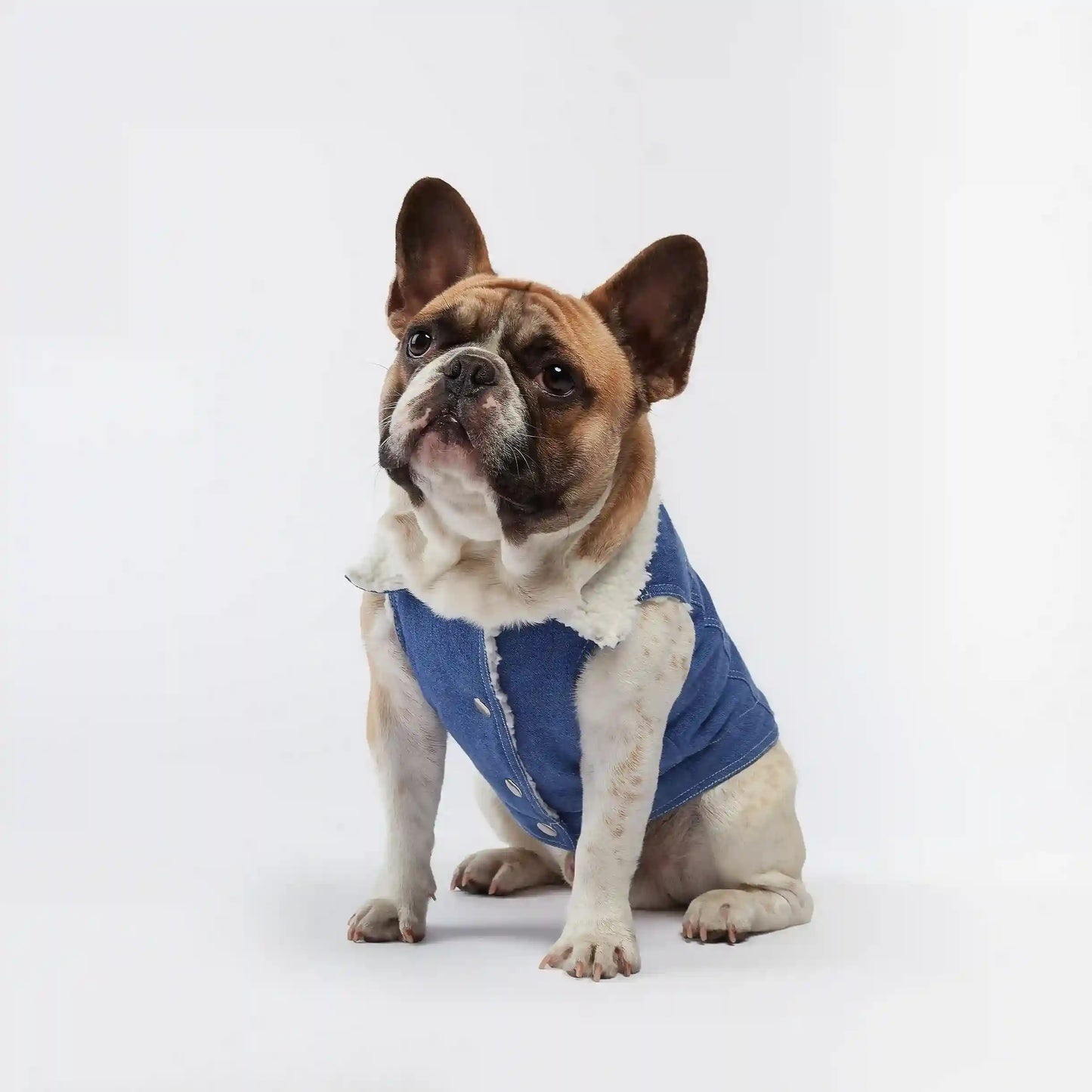 Essential Vest