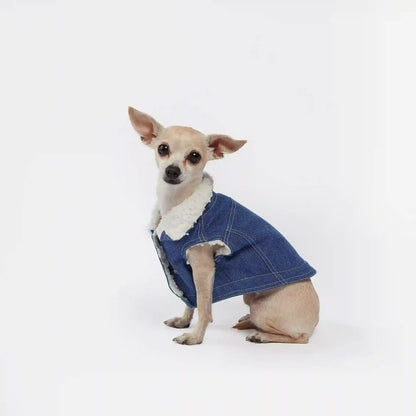 Essential Vest