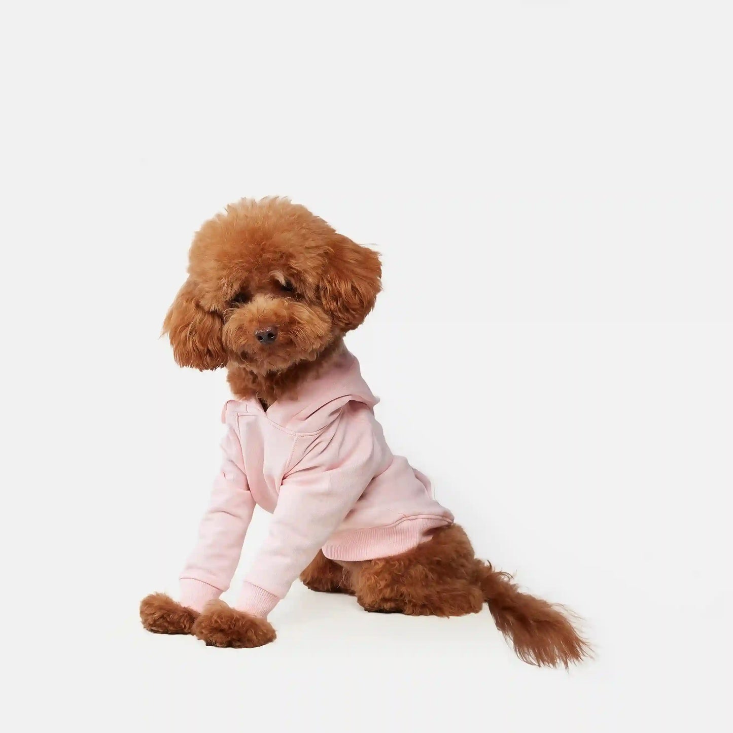 Snuggle Snitch Hoodie