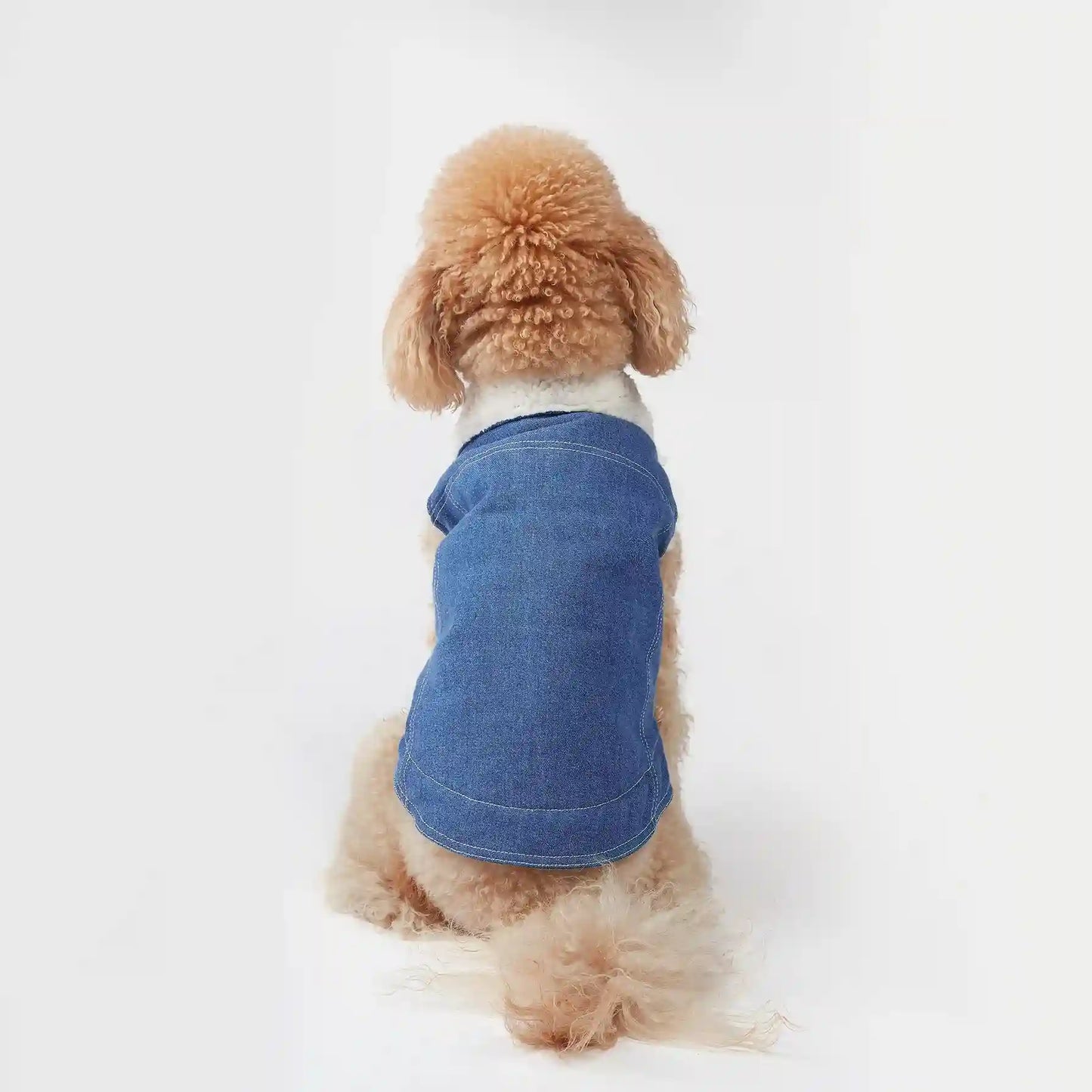 Essential Vest