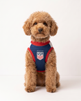 Load image into Gallery viewer, USA: Glory
