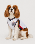 Load image into Gallery viewer, England: Roar
