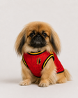 Fierté : Belgium Dog Jersey