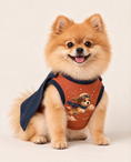 Load image into Gallery viewer, Sky Sentinel Superhero Dog Costume with Cape
